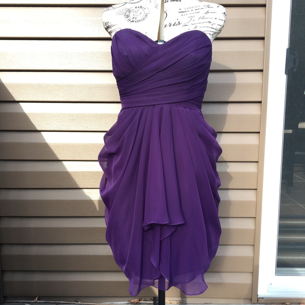 *Free Shipping* NWT Purple Ruffled Dress